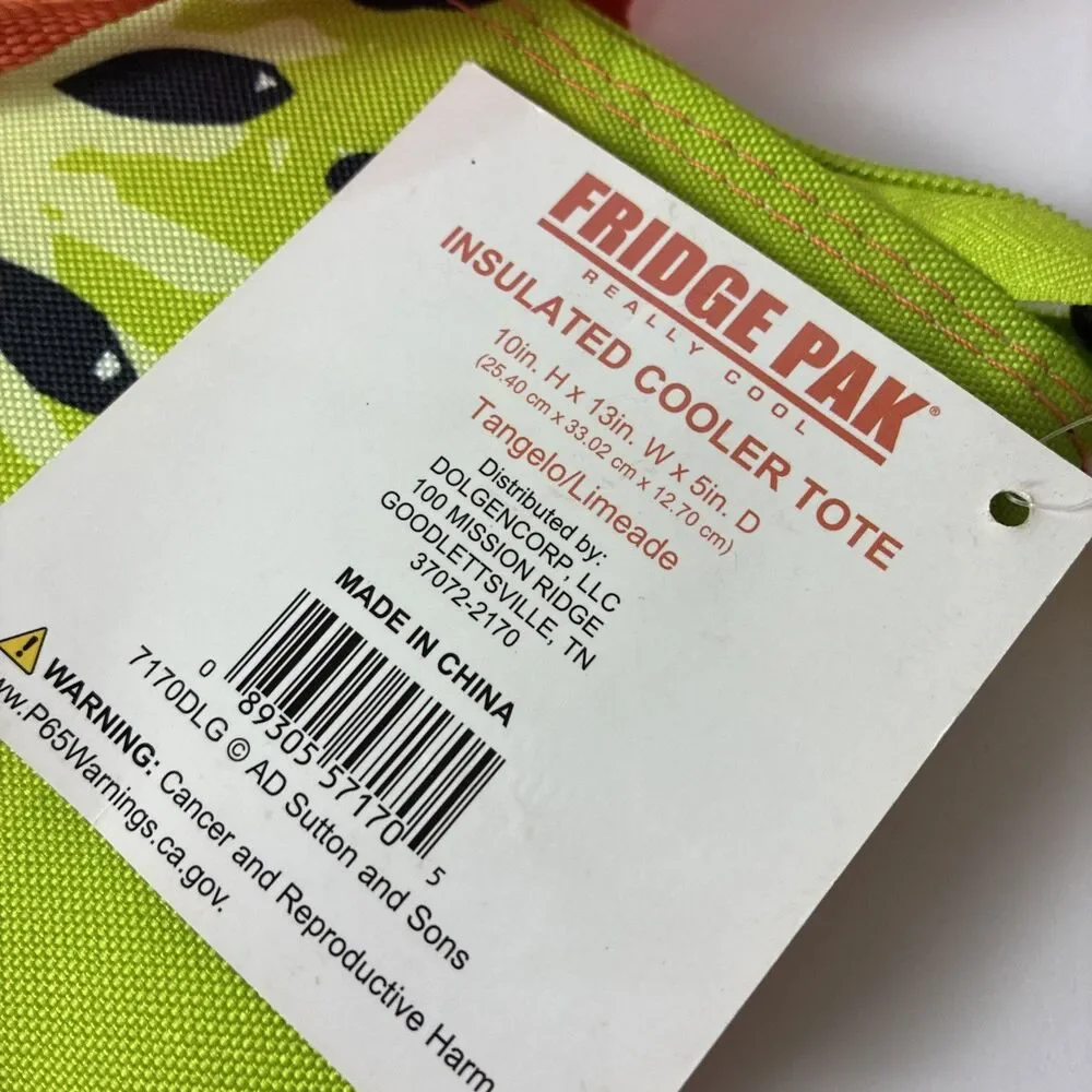 Fridge Pak Fully Insulated Cooler Lunch Tote 10in x 13in x 5in EUC Kiwi Fruit